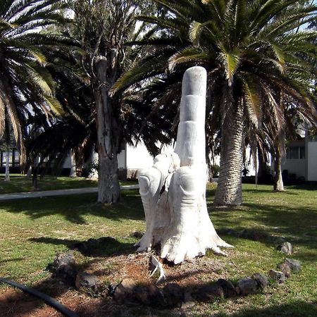 Nice Studio In The South Of Tenerife In The Costa Del Silencio Lägenhet Exteriör bild