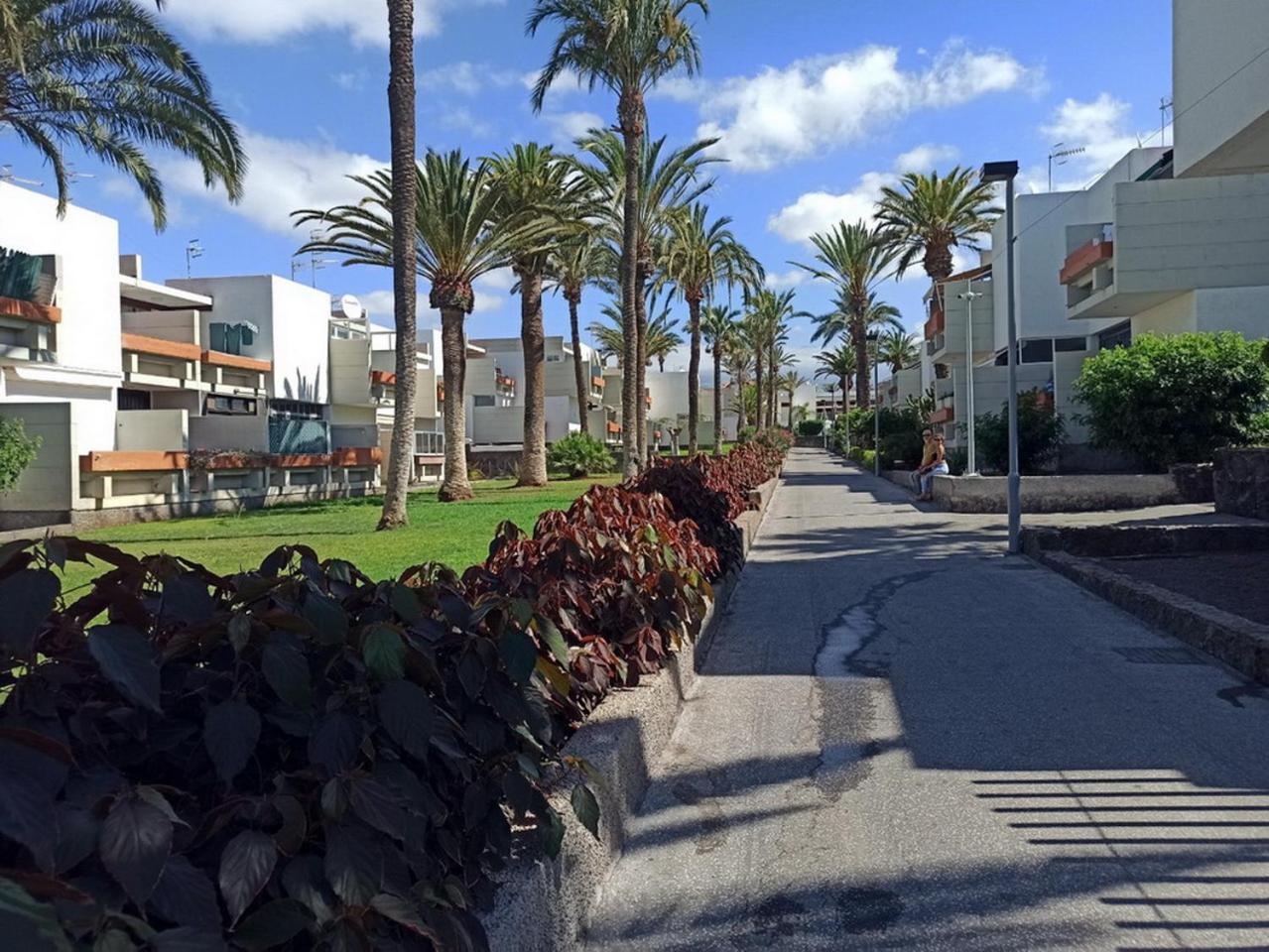 Nice Studio In The South Of Tenerife In The Costa Del Silencio Lägenhet Exteriör bild