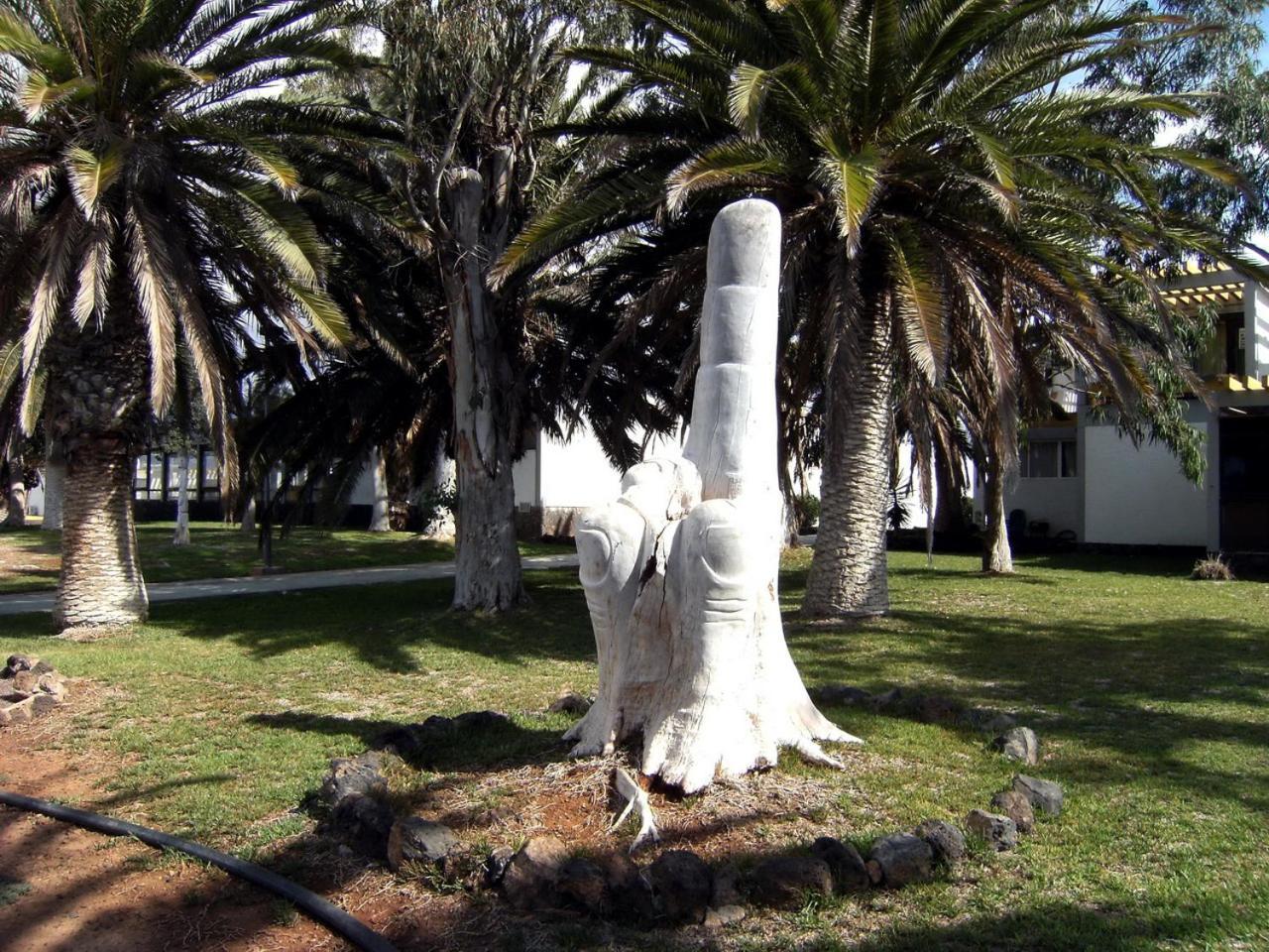 Nice Studio In The South Of Tenerife In The Costa Del Silencio Lägenhet Exteriör bild